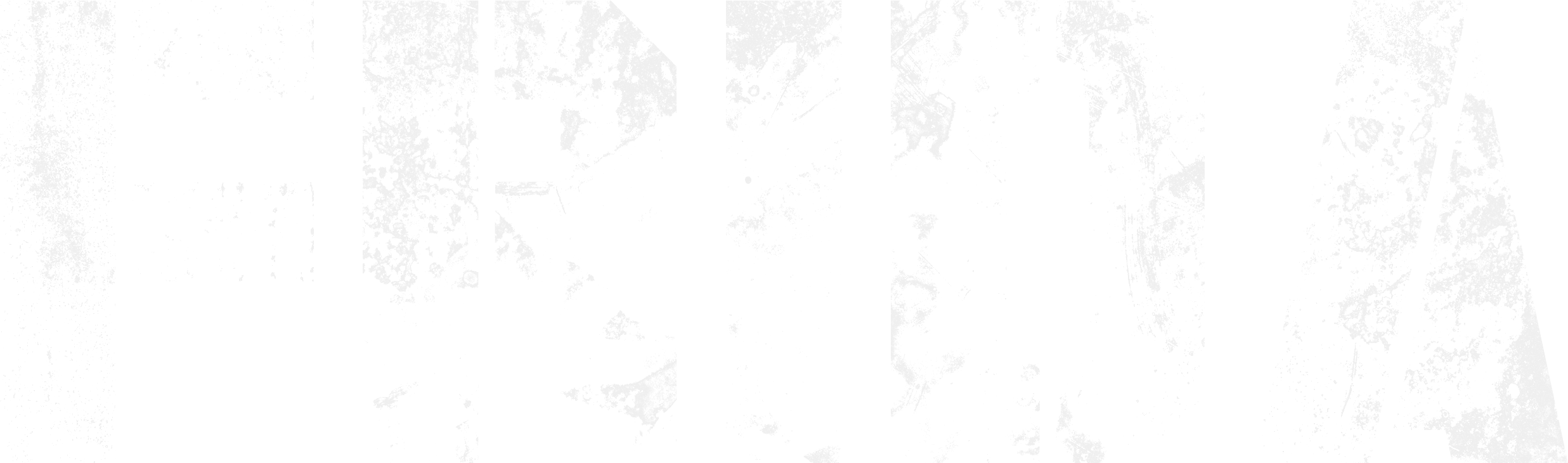 FRIDA Logo